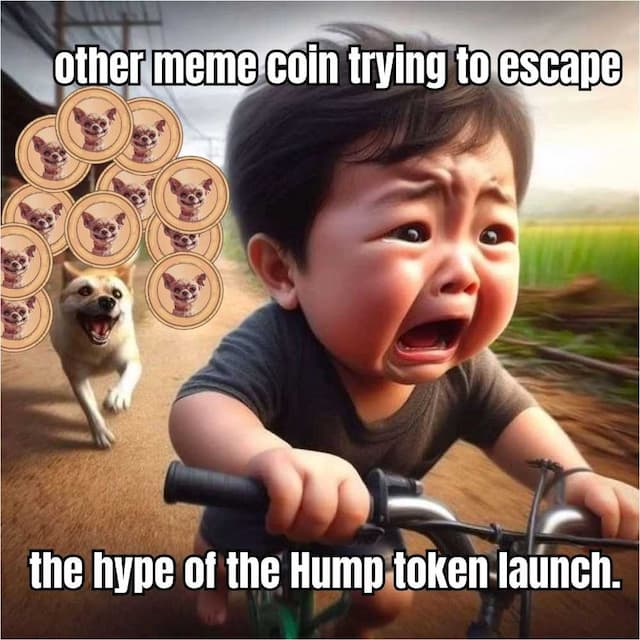 HUMP: The Coin That Captured Investors' Interest in the Solana Meme