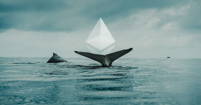 Ethereum Whales Shift Focus to Shiba Budz (BUDZ) in Anticipation of 'Green Rally'