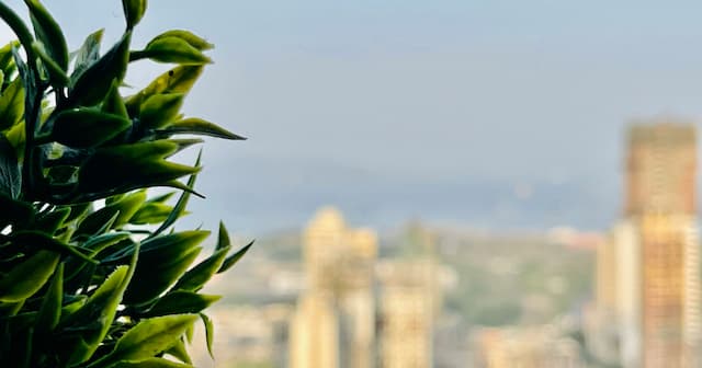 Study: Lifetime Marijuana Use Linked to Better Cognitive Aging