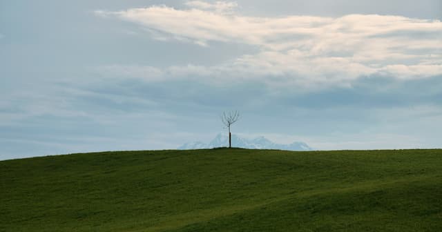 Iron-Sodium 'Salt Battery' Passes Major Test, Boosting Clean Energy Storage