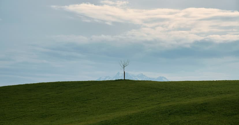 Ecolomondo Secures $2.7M to Ramp Up Tire Recycling Facility