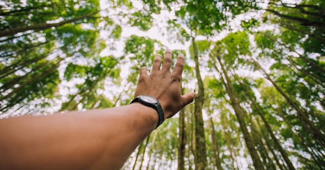 HCN Global Launches Webinar Series to Combat Structural Racism in Health