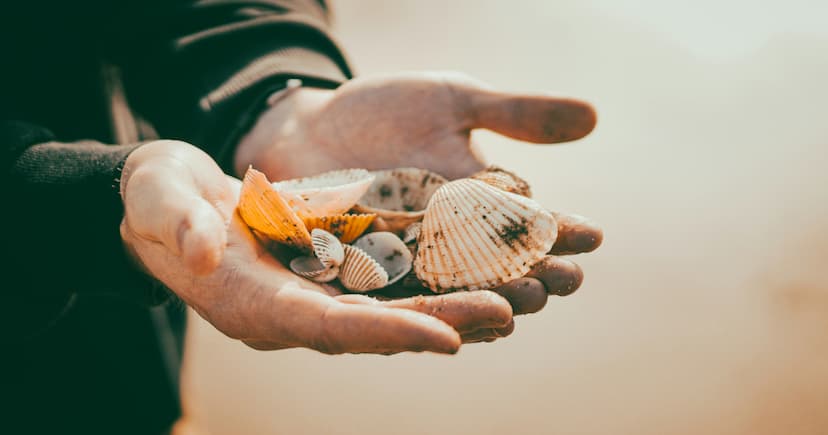 Smileology Elevates Dental Care with Advanced Tech and Integrated Services