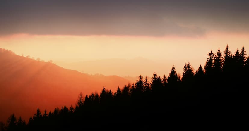 Shincheonji Graduates 59,192 Students Who Mastered Bible's Mysteries