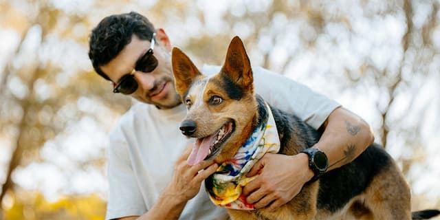 Sparkle Grooming Expands to Texas with 25 New Franchises Led by Industry Veterans