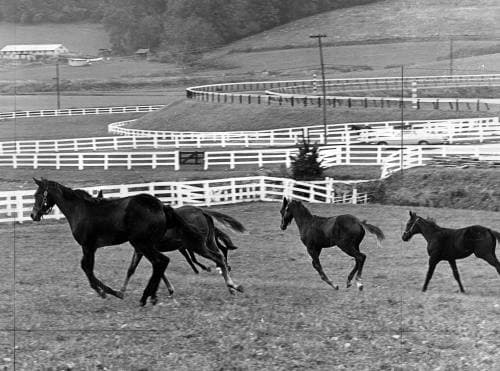 A. Aubrey Bodine: Capturing Maryland's Essence Through Artful Photography