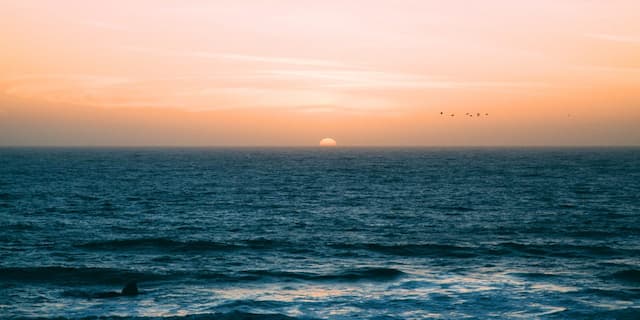 Maryland Advances Bay Ferry, Addresses SNAP Crisis Amid Major State Developments