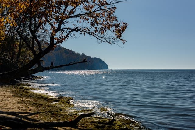 Trump Policies Threaten Maryland's Climate Efforts and Funding