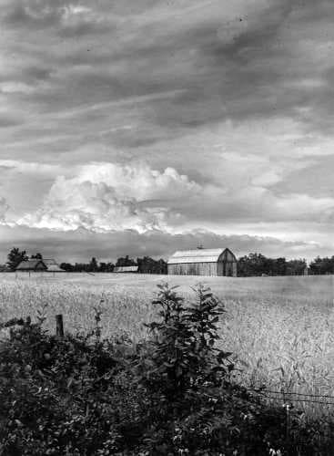 A. Aubrey Bodine: Pioneering Photographer's Legacy Lives Online