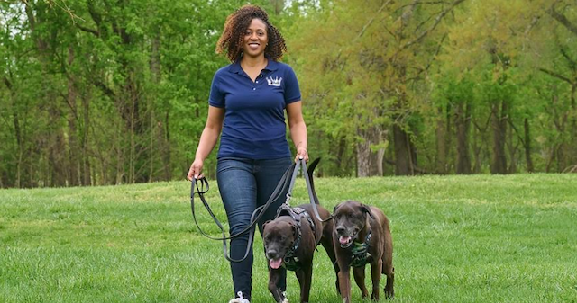 From Engineering to Dog Walking: Akira Bradley's Journey to Entrepreneurship