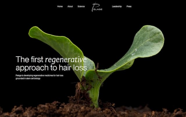 Pelage Pharma Raises $120M for Stem Cell Hair Therapy Breakthrough