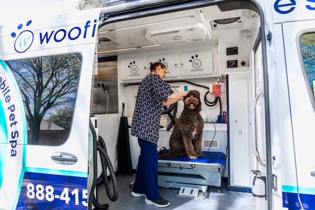Woofie’s and AKC Team Up to Elevate Pet Grooming Safety Nationwide