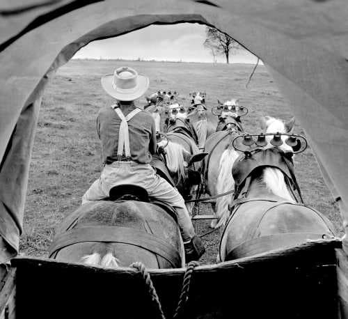 A. Aubrey Bodine's 1958 Farm Museum Photo Captures Historic Wagon Driving