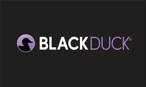 Black Duck Enhances AI-Powered Security Assistant for Developers