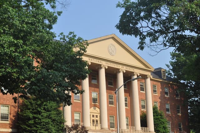 NIH Grant Cuts Disrupt Minority Research Program at University of Maryland