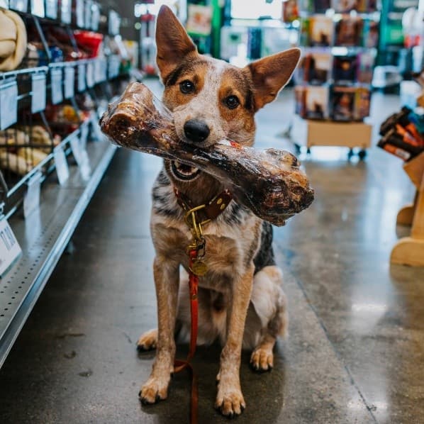 Pet Supplies Plus Opens New Hamilton NJ Store with Grand Opening Festivities