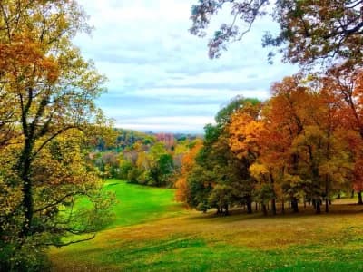 Roland Park Community Foundation Secures $9M Hillside Park for Public Use