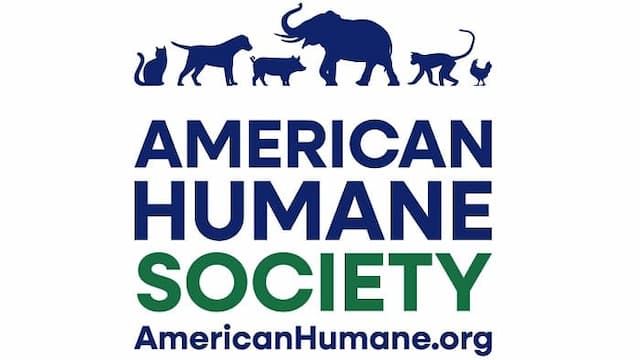 Vote for America's Hero Dogs: Celebrating Canine Courage and Companionship