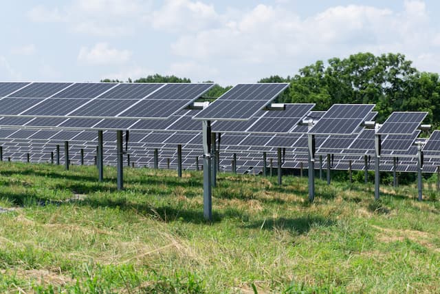 Maryland Farmers Resist Solar Land Leases Amid Agro-Economy Fears