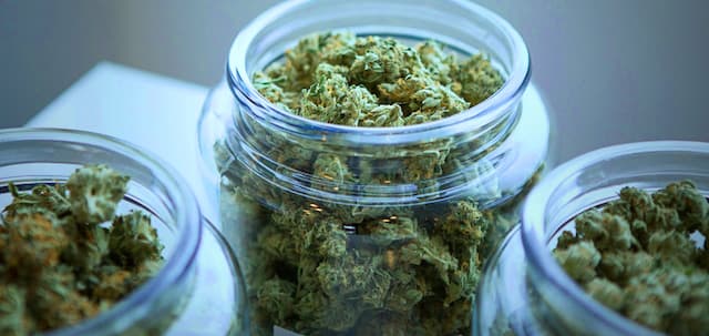 Maryland Faces Juvenile Justice, Maglev, Cannabis, and Energy Challenges