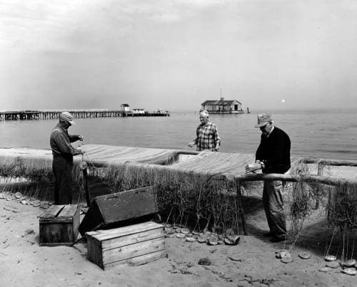 A. Aubrey Bodine: Capturing Maryland's Essence Through Photography