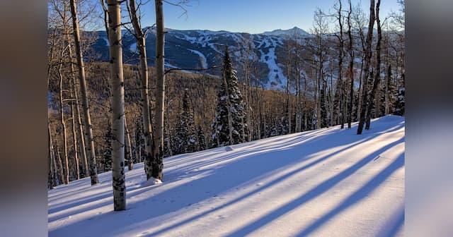The Truth About Ski-In, Ski-Out in Vail: Rare, Pricey, and Often Misunderstood