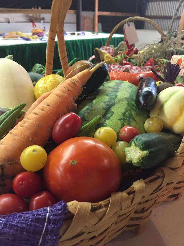 Healthy Food Delivery Boosts Heart Failure Patients' Quality of Life