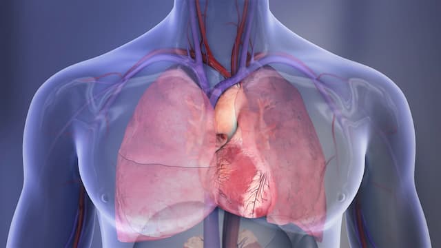 Heart Attack Survivors Face High Mental Health Risks, AHA Warns