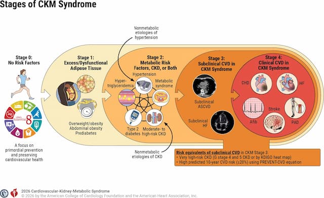 First-ever guideline targets cardiovascular-kidney-metabolic syndrome