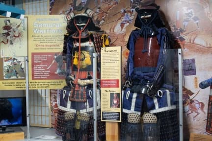 Martial Arts Museum Transforms Field Trips with Asian Culture Experience