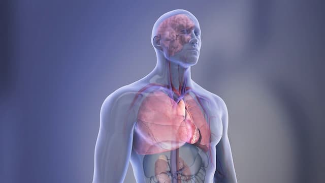 AHA and Bayer Launch Primary Care Perspectives to Tackle Heart Failure Early