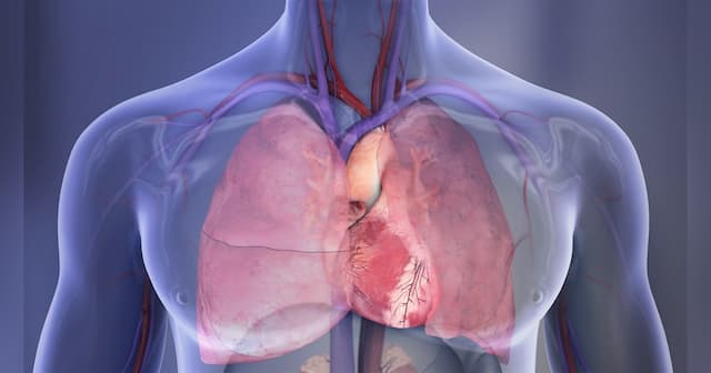 Pulse Pressure Rises Decades Before Menopause, Challenging Conventional Wisdom