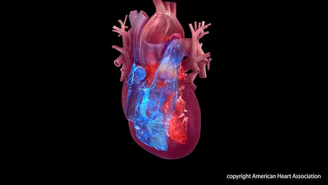 62% of AFib Patients Unaware Before Diagnosis, Heart Association Warns