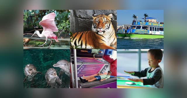 CityPASS Launches Tampa Bay C3® Ticket for Flexible Attraction Savings