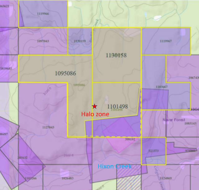 Golden Cariboo Expands Halo Zone with Placer Claims, Reports Promising Drill Results