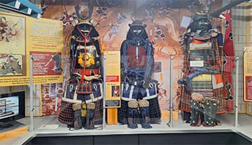 Explore Global Cultures and Martial Arts at the History Museum