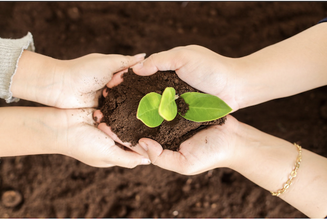 Easy Environmental Solutions Tackles African Hunger with Waste-to-Fertilizer Tech
