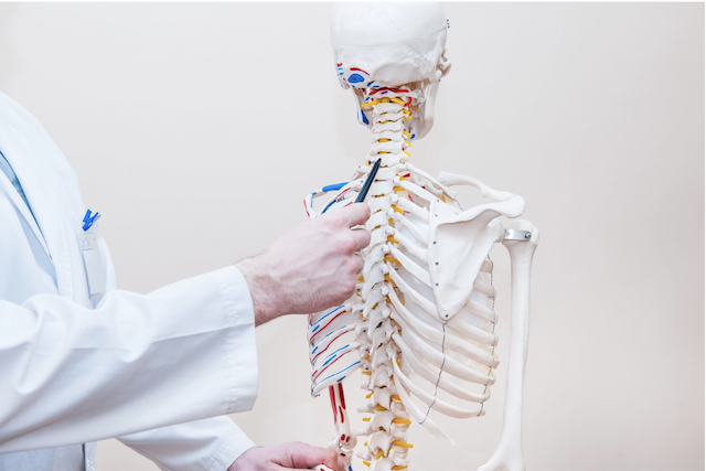 BioRestorative Therapies' BRTX-100 Shows Promise in Treating Chronic Back Pain