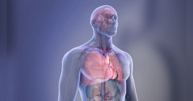 Cardiovascular Disease Now Leading Cause of Death Among Hispanic Adults
