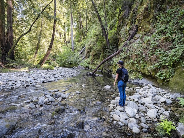 Esselen Tribe and Western Rivers Conservancy Conserve Pico Blanco for Land Back