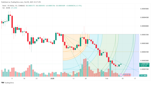 Cutoshi Emerges as Superior Meme Coin Amid Bonk's Decline