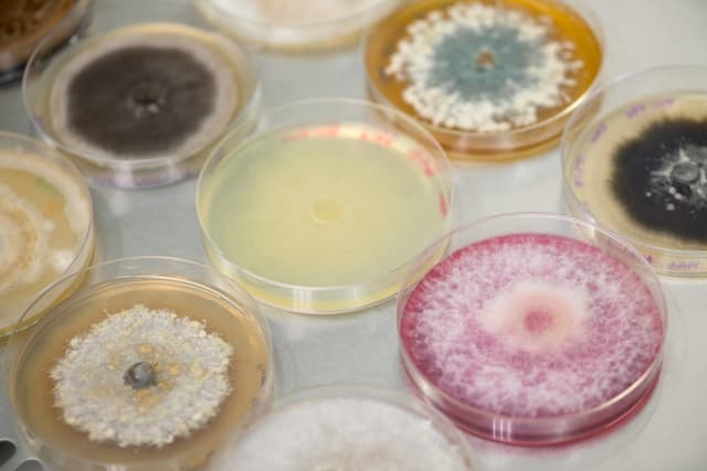 Jord BioScience Secures Series B Funding to Revolutionize Microbial Solutions for Agriculture