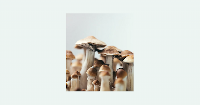 DEA Advances Psilocybin Rescheduling, Psylutions Ready for Medical Breakthrough