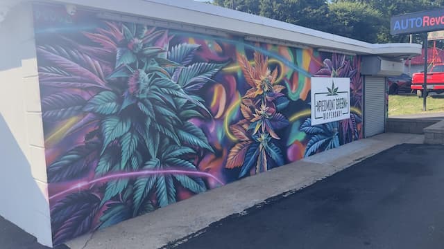 NC-Grown Hemp Comes to Charlotte: Farm-to-Shelf Dispensary Opens on South Blvd