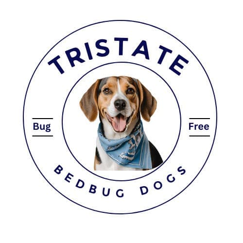 K9 Bed Bug Detection Hits 98% Accuracy in NY/NJ/CT