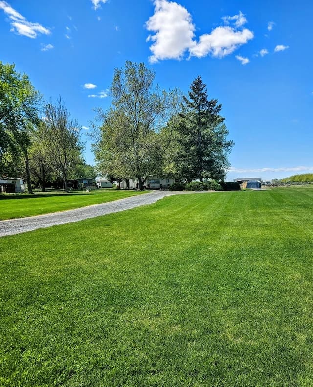 Tatum Lawn Care in Moses Lake Now Offers Free Online Estimates for Year-Round Services