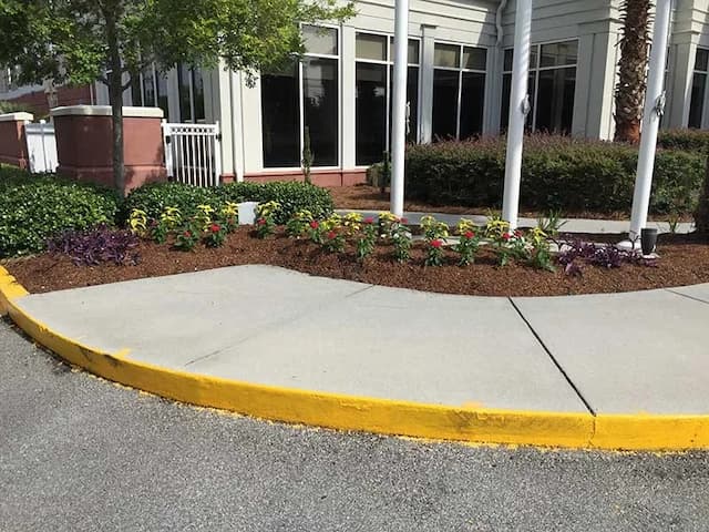 Turf Scouts Celebrates 15 Years of Lawn Care Excellence in Savannah