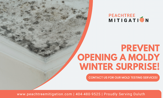 Duluth Firm Warns: Hidden Mold Threatens Homes in Humid Climate