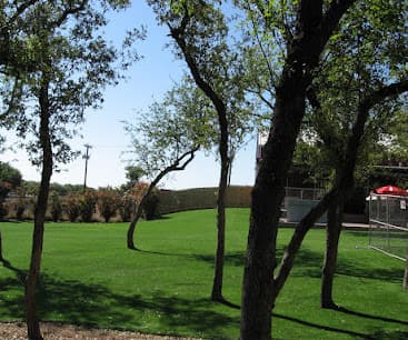 Texas Custom Turf Unveils Flexible Synthetic Grass Rugs for Central Texas