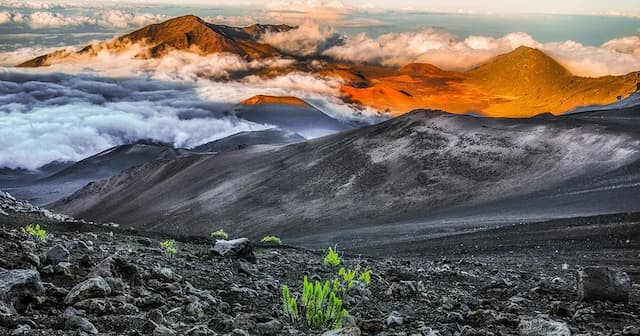 This Week Hawaii Turns 60 with Expanded Hybrid Media Model